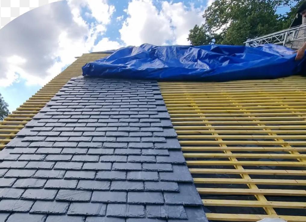 PHOTO 2025 12 19 15 38 01